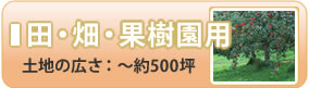 �ġ�Ȫ���̼�����ʮ̸����Ϥι���������500��