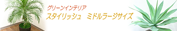 �ߥɥ�顼��������