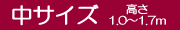 �極����