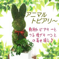 �����������桪���ޤ��֤����Ĥ��׾���¿��...