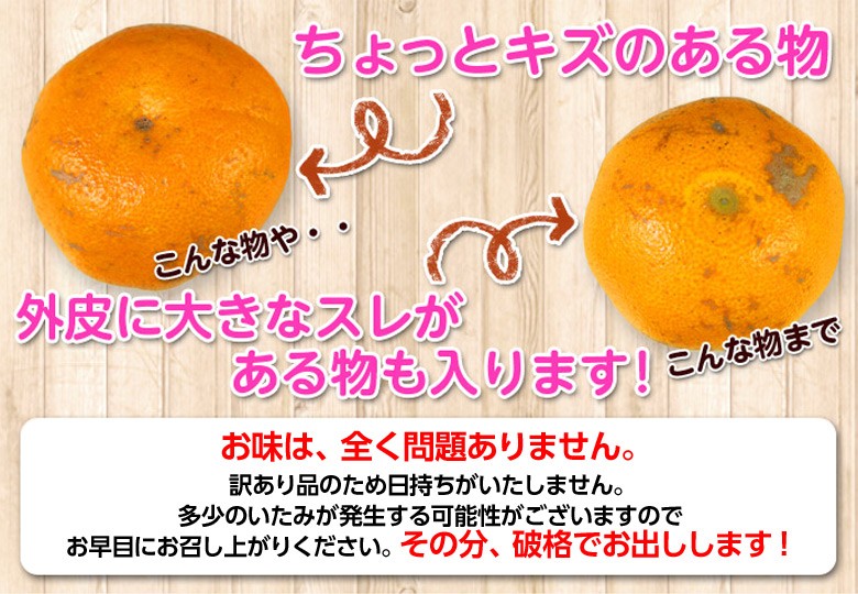 日本代拍: 《送料无料》爱媛三崎产 訳あり「はるみ みかん」 m4l 约