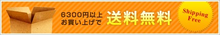 6300円以上送料無料