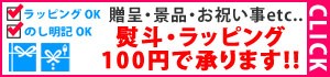 �ץ쥼��ȥ�åԥ󥰡��Τ�(����)���б�