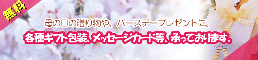 ���ޤ��ޤʥ��٥�Ȥ䵨��˱��������ե��б������桪