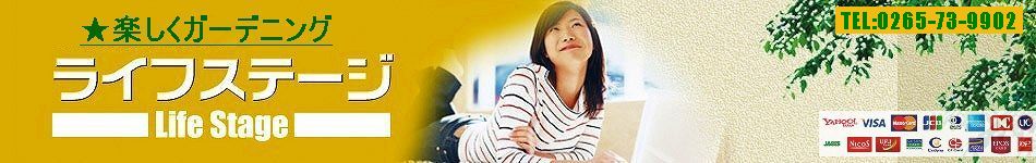 �����ǥ˥����ʤ䥬���ǥ�ե��˥��㡼,�������ƥꥢ���ʤ����Τʤ�饤�ե��ơ���