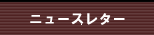 �˥塼���쥿����������