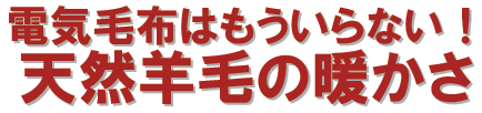 ���Υ󤬤���С��ŵ����ۤϤ⤦�פ�ʤ���ŷ�����Ӥ��Ȥ�����