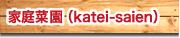 �����ڱ��katei-saien��