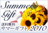 ���ޡ����ե�2010