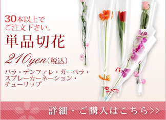 ñ���ڲ֡ʥХ顦�ǥ�ե��졦�����٥顦���ץ졼�����͡�����󡦥��塼��åס�