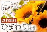 �Ҥޤ���ý�
