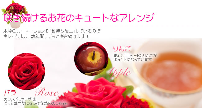 �餭³���뤪�֤Υ��塼�Ȥʥ����
