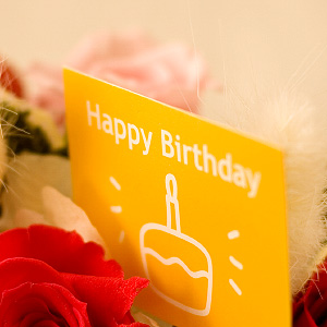 Happy Birthday