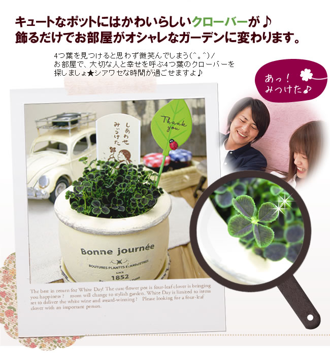 ���塼�ȤʥݥåȤˤϤ��襤�餷���������С�������������Ǥ��������������ʥ����ǥ���Ѥ��ޤ���4���դ򸫤Ĥ���Ȼפ鷺���Ф�Ǥ��ޤ��ʡ�������/�������ǡ����ڤʿͤȹ�����Ƥ�4���դΥ������С���õ���ޤ���������糧�ʻ��֤��ᤴ���ޤ����