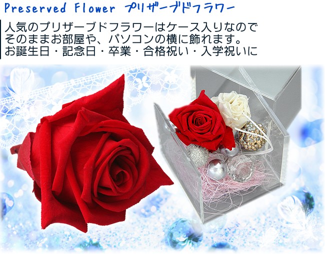 Preserved Flower プリザーブドフラワー 人気のプリザーブドフラワーはケース入りなのでそのままお部屋や、パソコンの横に飾れます。お誕生日・記念日・卒業・合格祝い・入学祝いに