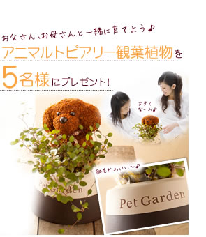 ���˥ޥ�ȥԥ��꡼���տ�ʪ�ץ쥼���