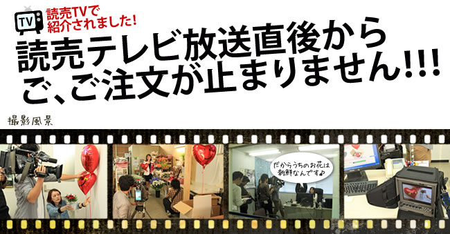 ����ƥ������ľ�夫�餴������ʸ���ߤޤ�ޤ��󡪡���