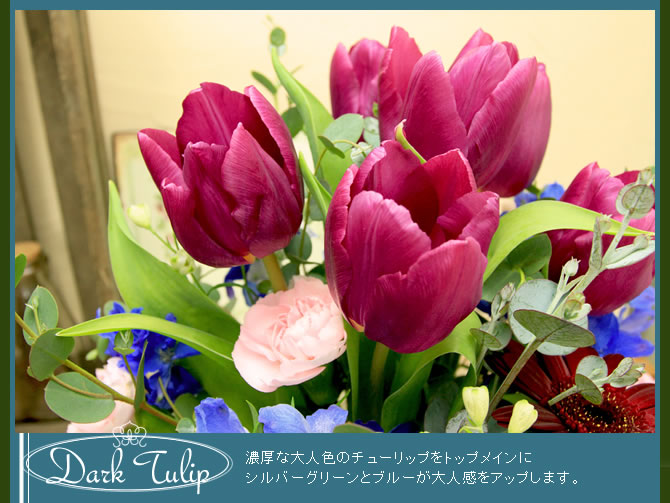 ���������塼��åס�ǻ������Ϳ��Υ��塼��åפ�ȥåץᥤ��˥���С����꡼��ȥ֥롼����ʹ��򥢥åפ��ޤ���