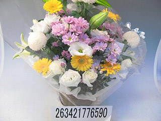 �涡��Aø��5000��