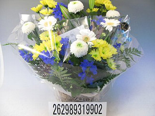 �涡��Aø��5000��