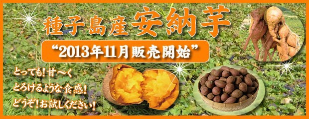 �Ƥ�������å��ǡ�������ܳʾ���