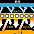 ���饹���֡��ġ���Ǯ�ݲ��Ǻ�Honjoy(R)