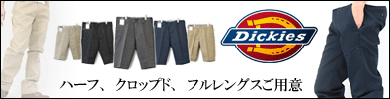 ���ܴ�� Dickies �ǥ��å�����