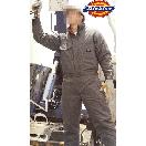 Dickies-793