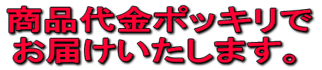 商品代金ポッキリでお届けいたします。
