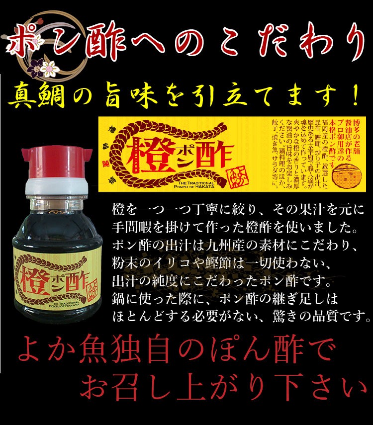 長崎 真鯛 マダイ タイ 鯛しゃぶ シャブ