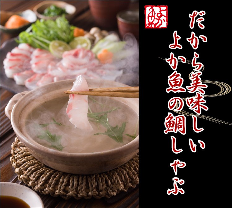 長崎 真鯛 マダイ タイ 鯛しゃぶ シャブ