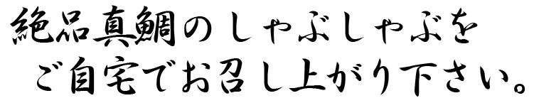 長崎 真鯛 マダイ タイ 鯛しゃぶ シャブ