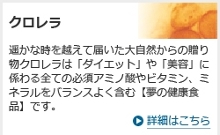 �缫�������£��ʪ�������