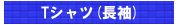 T�����(Ĺµ)