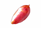 ��̧���ڤ���