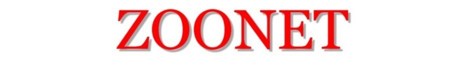 ZOONETYahoo!Ź