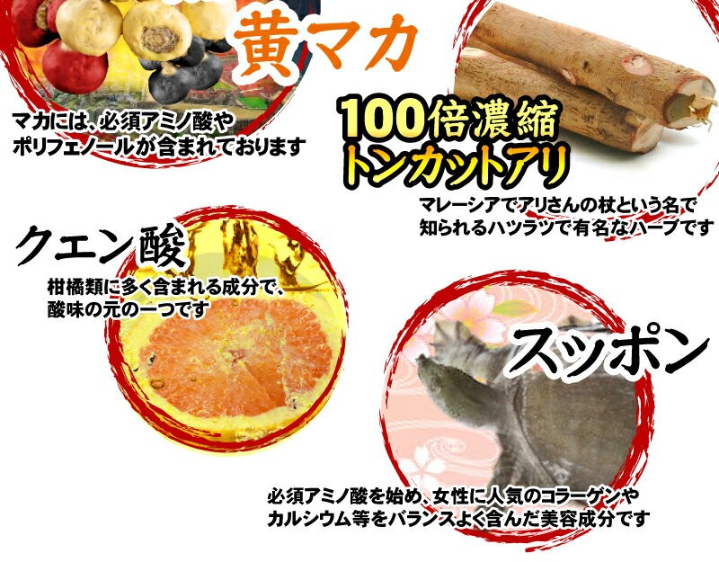 送料無料】 醗酵黒にんにく 烏骨鶏卵黄 サプリメント にんにくサプリ