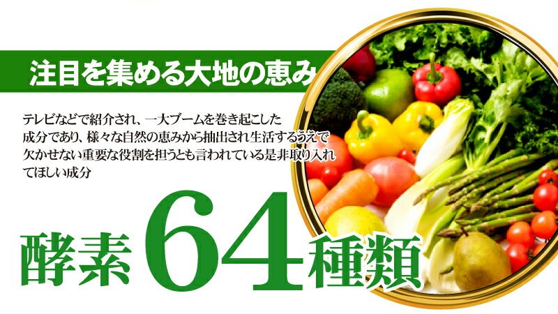 送料無料】 醗酵黒にんにく 烏骨鶏卵黄 サプリメント にんにくサプリ