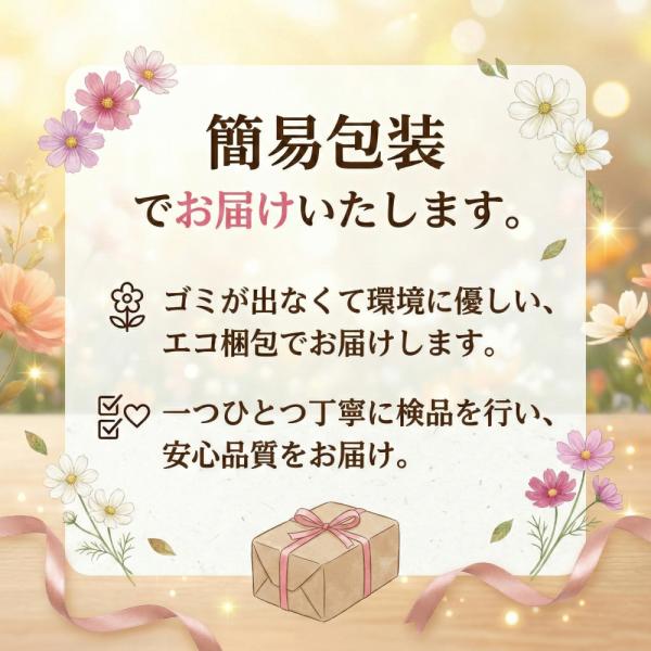 商品説明画像11