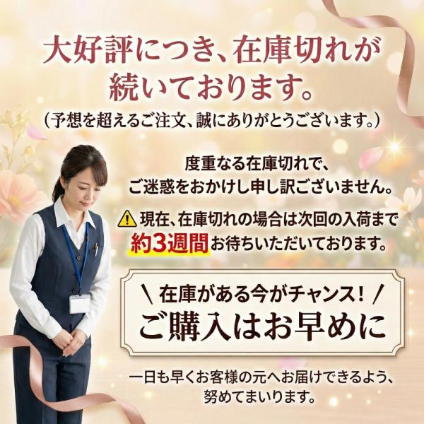 商品説明画像15