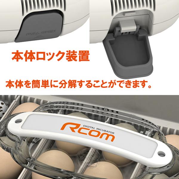 ビッグママ50DO 全自動孵卵器(ふ卵器・孵卵機) : eバード - 通販