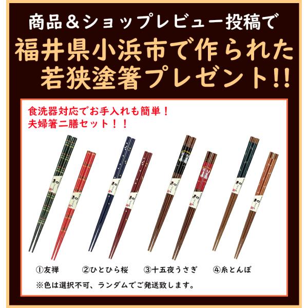 ALINCO（アルインコ） 米びつクーラー 保冷米びつ 保冷 米びつ 冷蔵