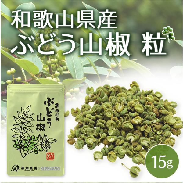 日本未入荷 楽天市場】花山椒100gの通販 その他 - その他
