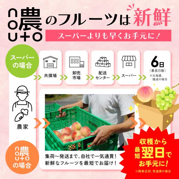 商品画像6