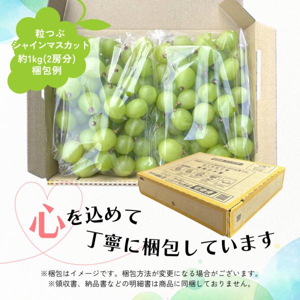 商品画像12