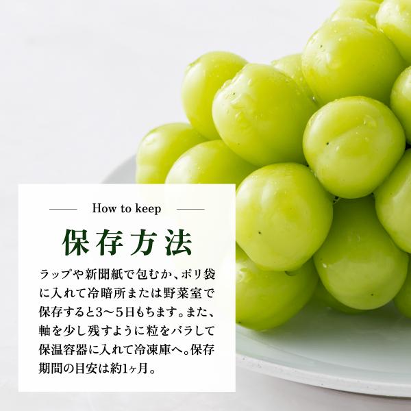 商品画像11