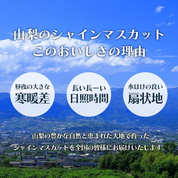 商品画像7