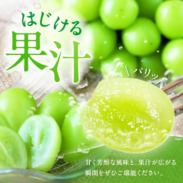 商品画像4