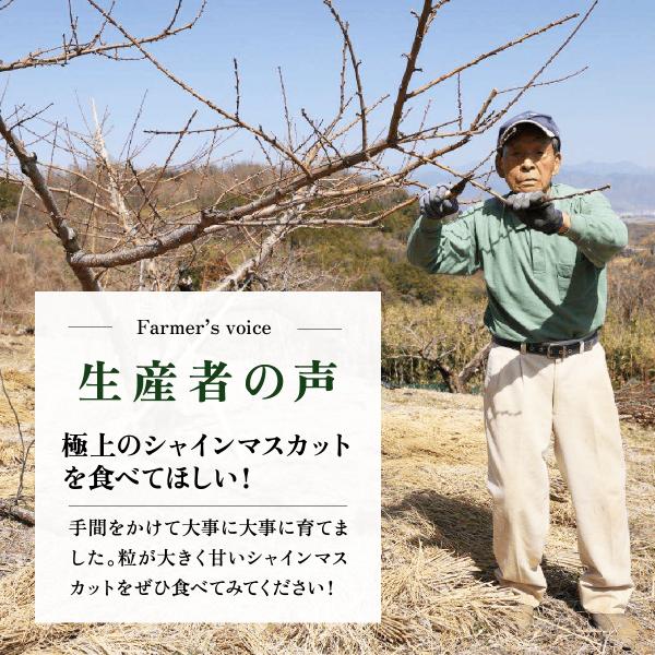 商品画像10