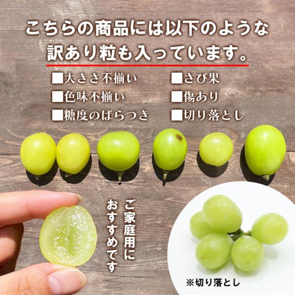 商品画像8